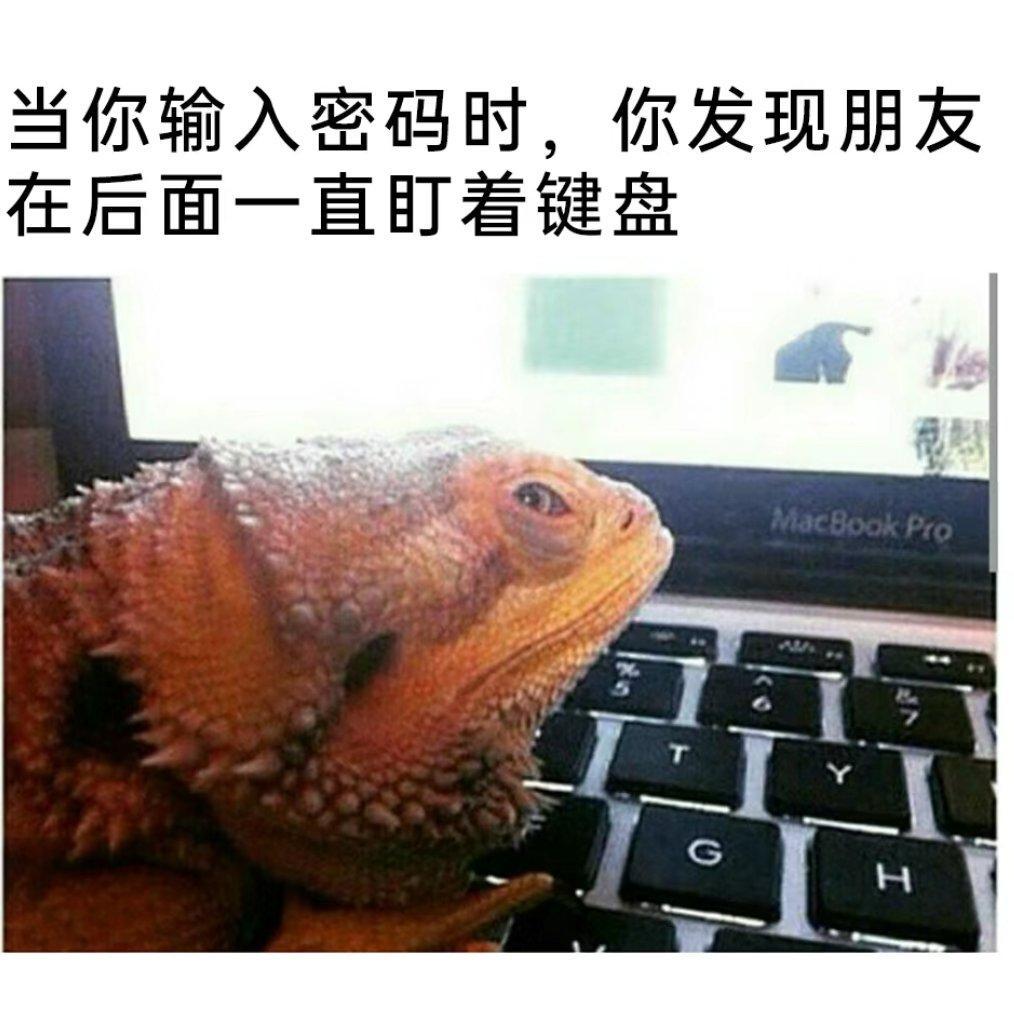 somnium「meme」 - 你是来找meme的吧!!!!(含梗图) - 电台节目 - 网易云音乐
