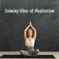 Calming Vibes of Meditation