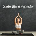 Calming Vibes of Meditation专辑