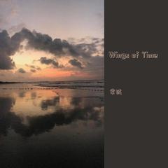 Wings of Time