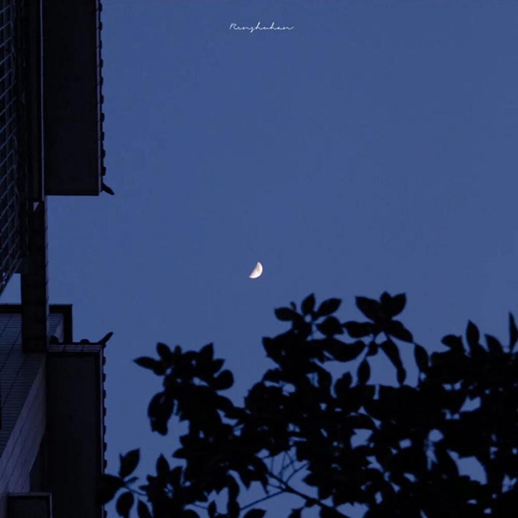Bossa Nova｜聆听热情桑巴的迷人旋律