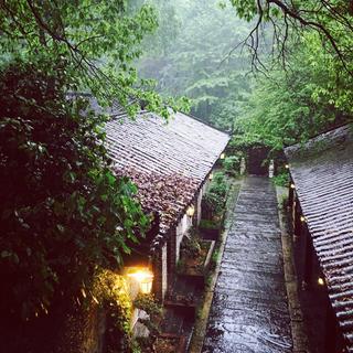 欢意绵绵不绝丨春雨纷纷不止［轻柔女声］