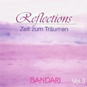 Reflections Vol. 5专辑