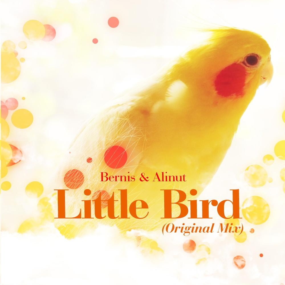 Little Bird