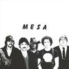 Mesa - Put It
