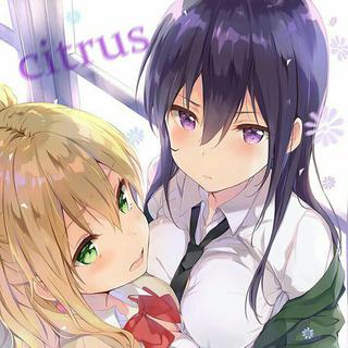 citrus～柑橘味香气～(等歌发布中)