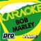 Zoom Karaoke - Bob Marley专辑