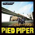 PIED PIPER