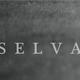 Selva