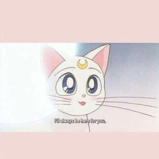 ｜精选说唱｜甜到心里的Rap情歌｜