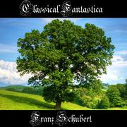 Classical Fantastica: Franz Schubert
