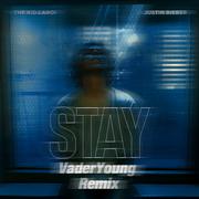 The Kid LAROI-Stay -(Vaderyoung remix)（VaderYoung remix）