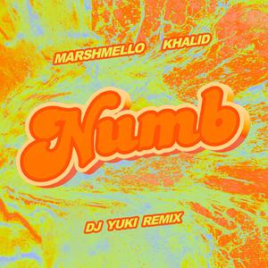 Marshmello and Khalid - Numb (Karaoke) 带和声伴奏 （升3半音）