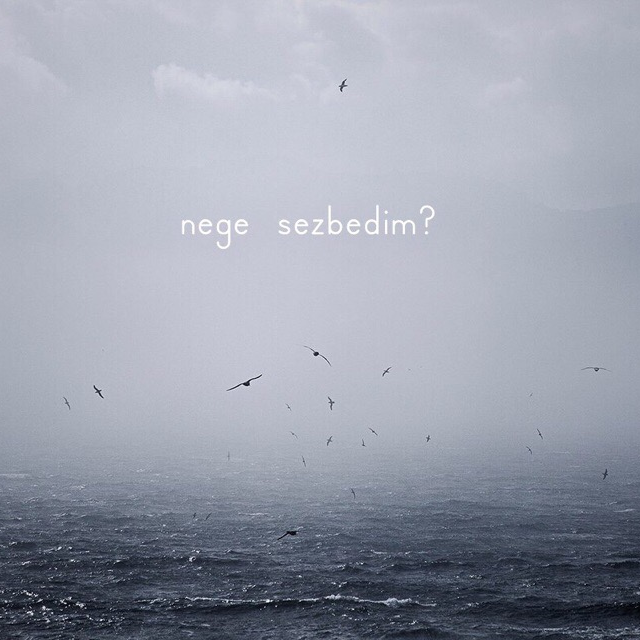 nege sezbedim?