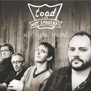 Toad the Wet Sprocket - ALL I WANT （升4半音）