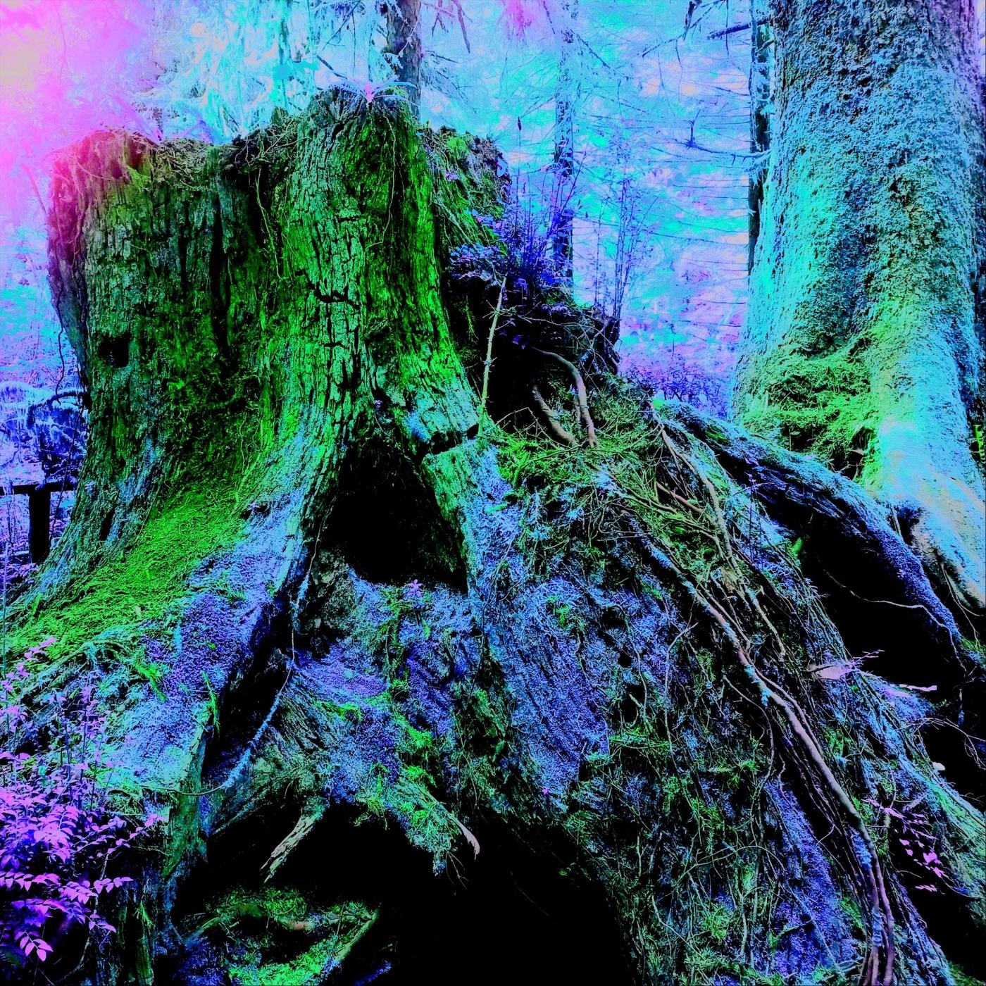 Cosmic Euphoria
