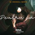 Pentru Ca (DJ Criswell Remix)专辑
