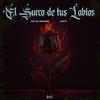 Niko Rosé - El Surco de tus Labios