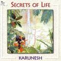 Secrets Of Life专辑