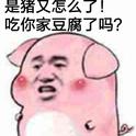 西施专辑