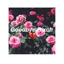 Goodbye Bixch专辑