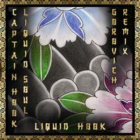 Liquid Hook (Gorovich Remix)