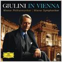 Giulini In Vienna (Live At Musikverein, Vienna / 1979)专辑