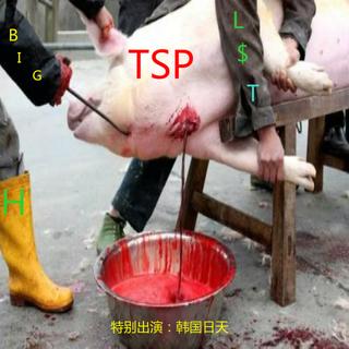 CSC DISS HB大集合