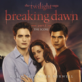 The Twilight Saga: Breaking Dawn, Pt. 1 (The Score)