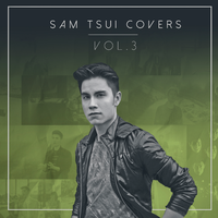 Sam Tsui - Stitches (消音版) 带和声伴奏