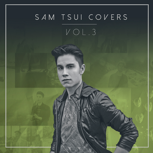 Sam Tsui - Stitches (消音版) 带和声伴奏 （升2半音）