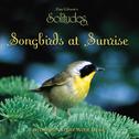 Songbirds at Sunrise专辑