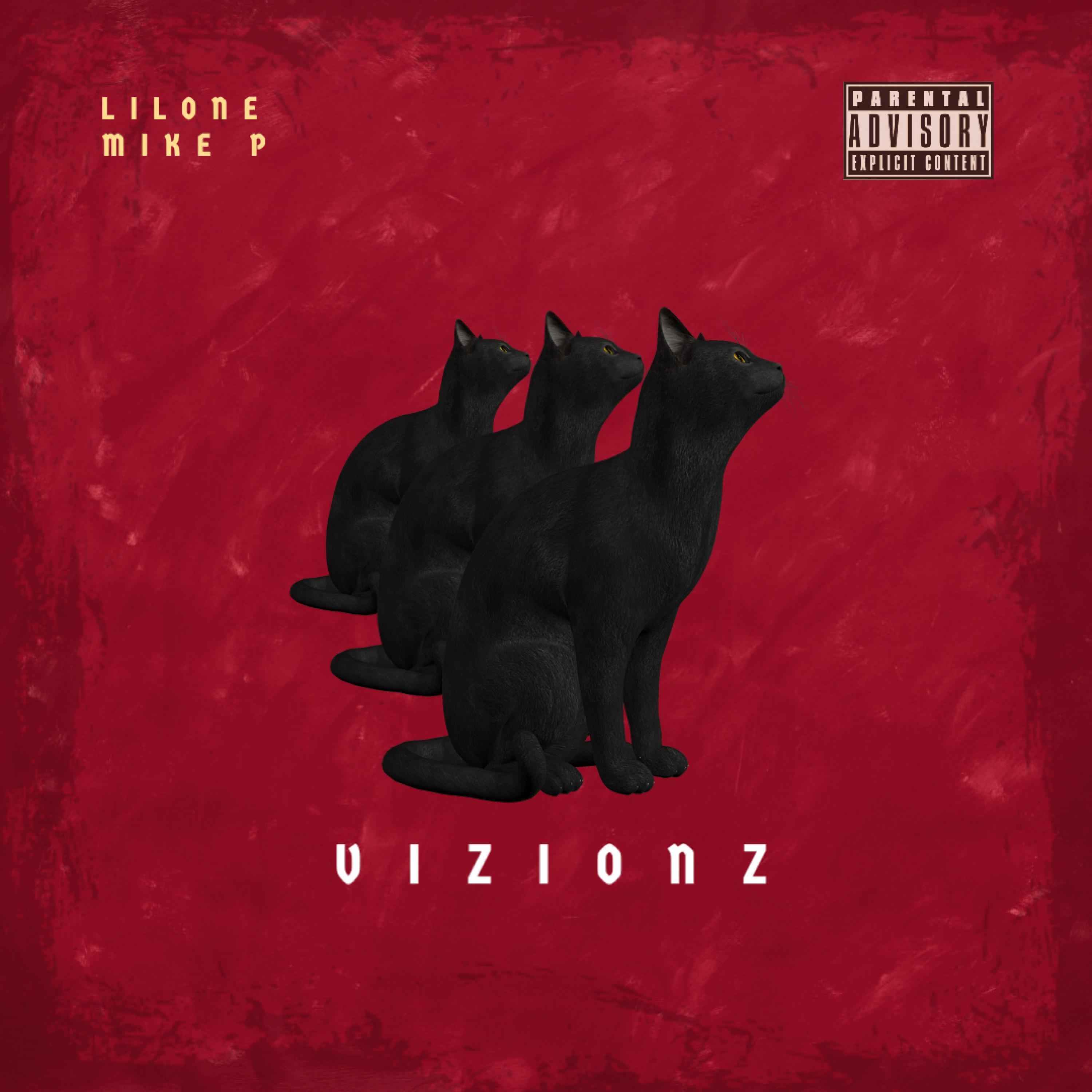 VIZIONZ (feat. MIKE P)