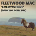 Everywhere (Dancing Pony Mix)