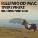 Everywhere (Dancing Pony Mix)专辑