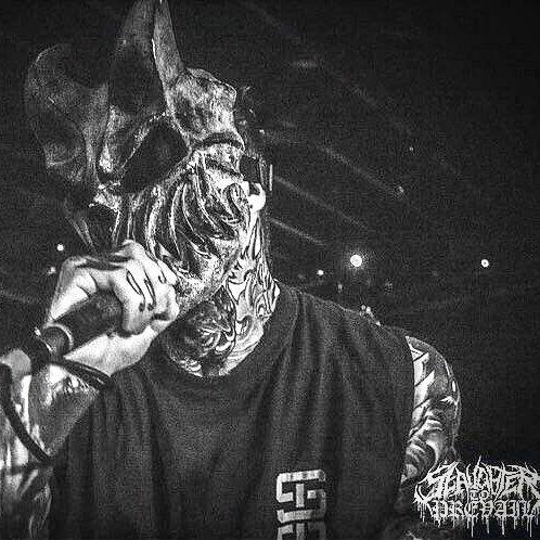 【Slaughter to Prevail + Alex】