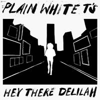 Hey There Delilah - Plain White T's (karaoke)
