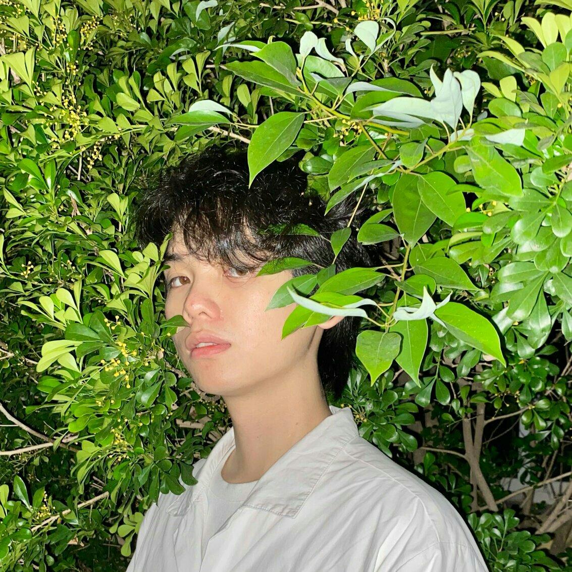 『秃草是真的』视频里用过的部分歌 | 在线播放 | 网易云音乐