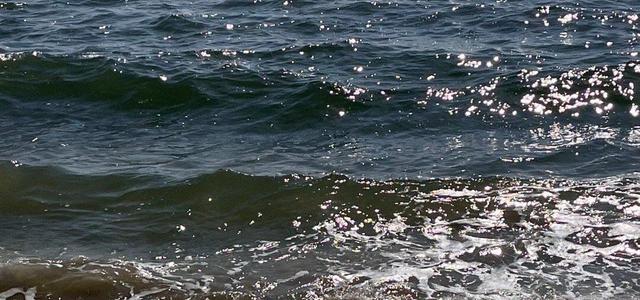 IMONTHEISLAND