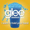 I Want To Hold Your Hand (Glee Cast Version)专辑