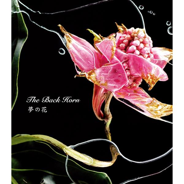 夢の花