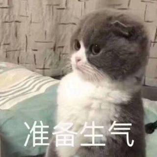 今天的我很lay