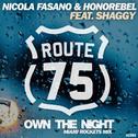 Own The Night (Miami Rockets Mix)专辑