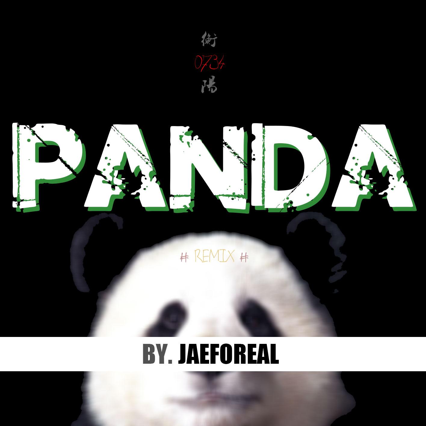 衡阳 （panda remix）