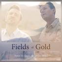 Fields of Gold专辑
