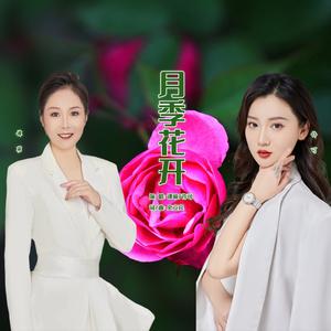 月季花开伴奏 （升8半音）