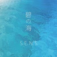 碧の淚(原版无人声)