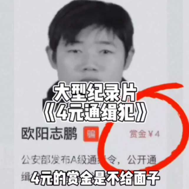 大型纪录片《这个收菜速度是有点快》