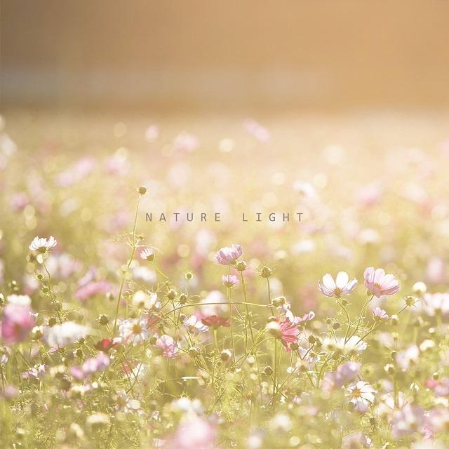 Nature Light