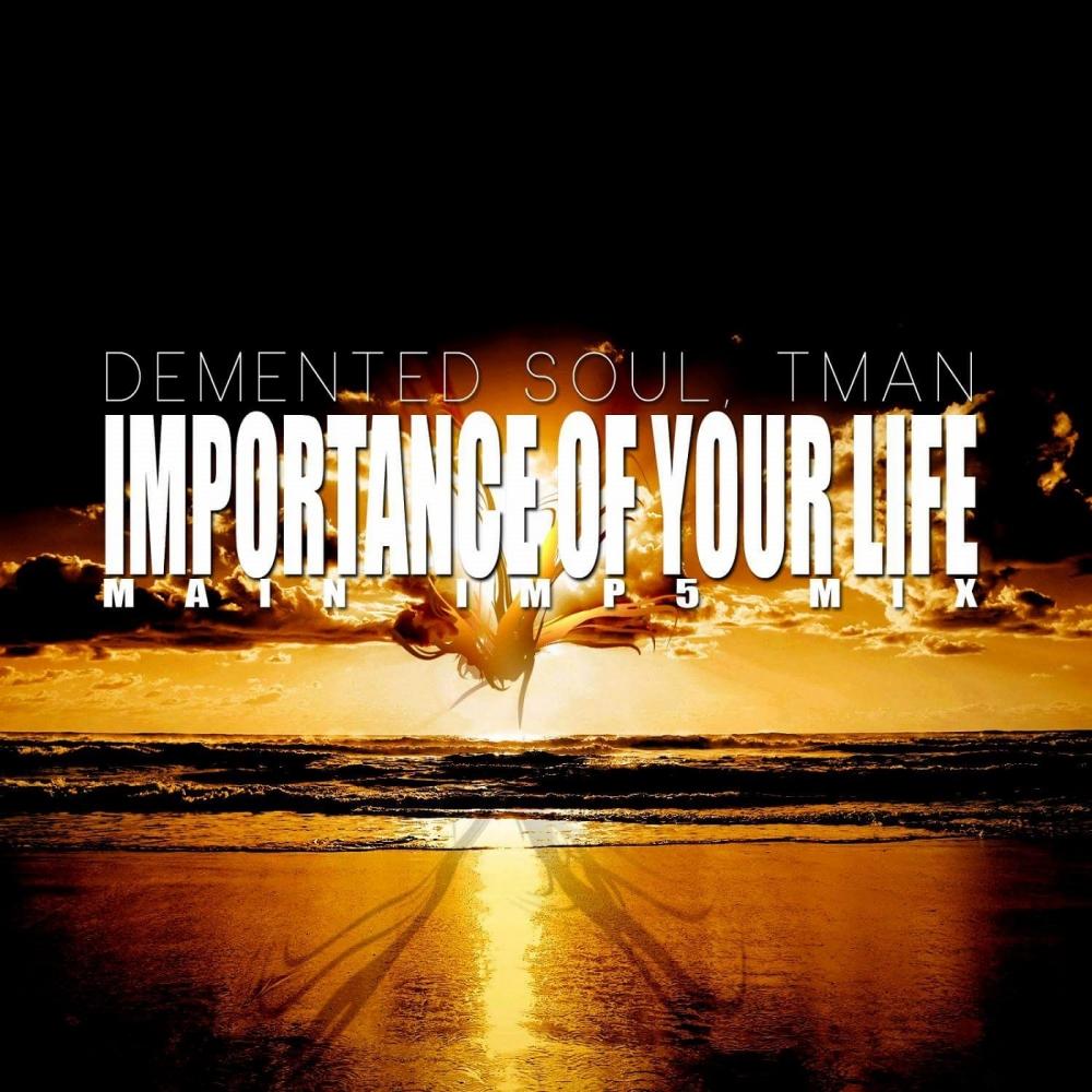 Importance Of Your Life (Main Imp5 Mix)